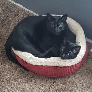 Meet your Posher, Pamela